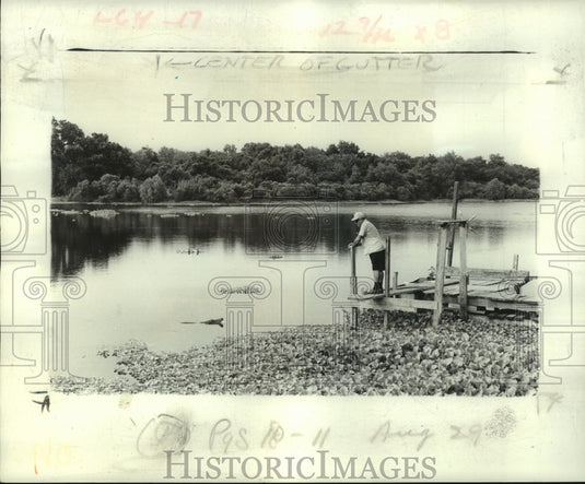 1976 Press Photo Claude Gautreaux, feeding Old Mike in a pond near US Highway 90