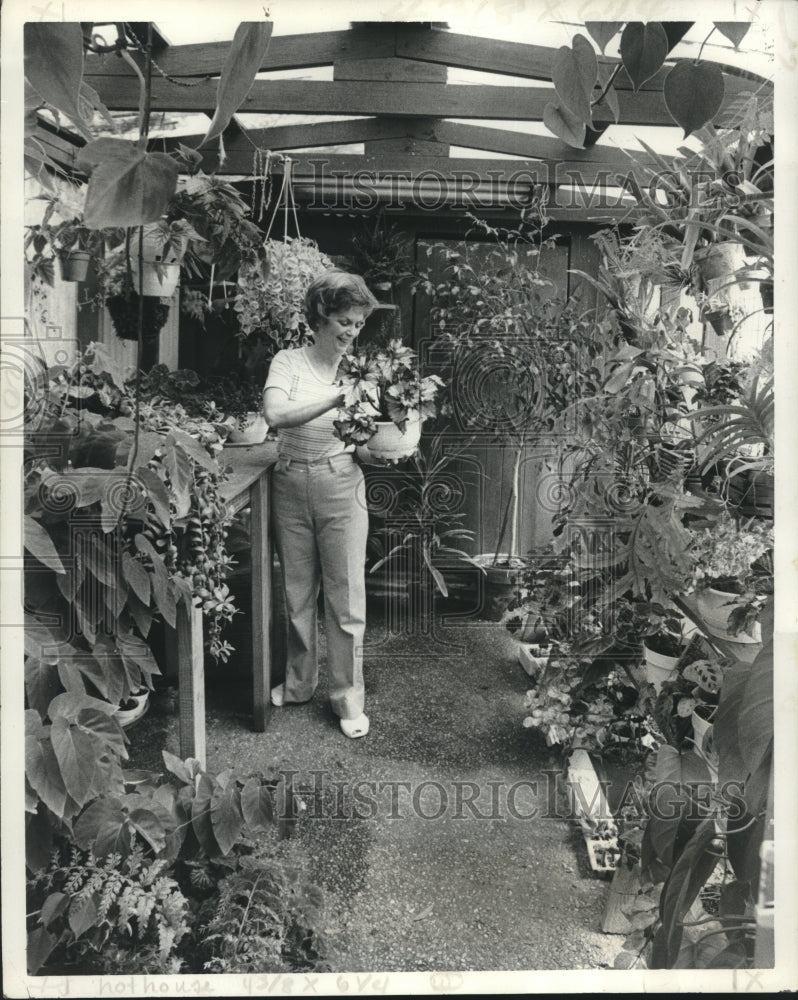 1978 Press Photo Flowers, potted plants an vegetables kept in a hothouse- Historic Images