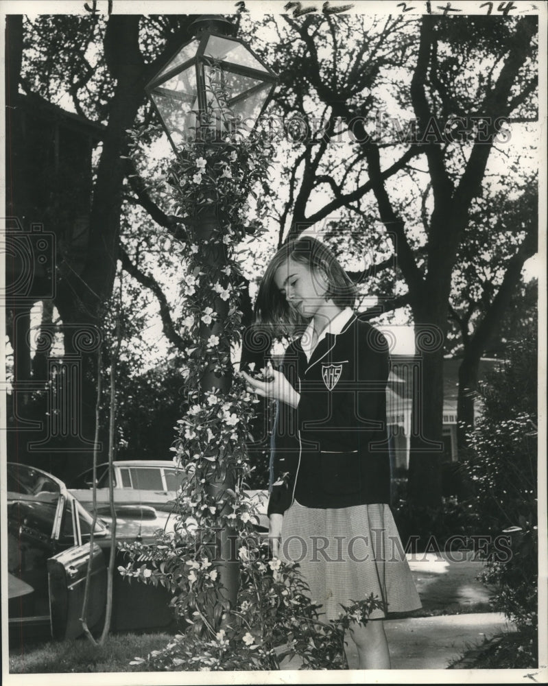 1964 Press Photo Polly Simons admiring a yellow Carolina Jessamine - nob18732