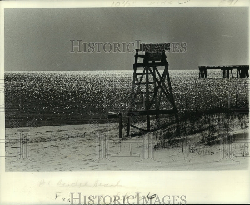 Load image into Gallery viewer, 1978 Press Photo Gulf Coast Beach in Winter Provides Solitude and Beauty
