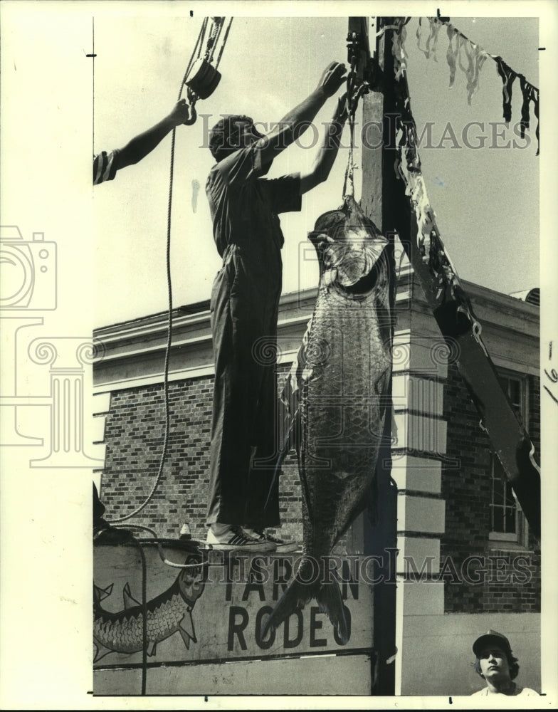 1978 Press Photo Golden Meadow Tarpon Rodeo worker Gerald Adkins weighs a tarpon- Historic Images