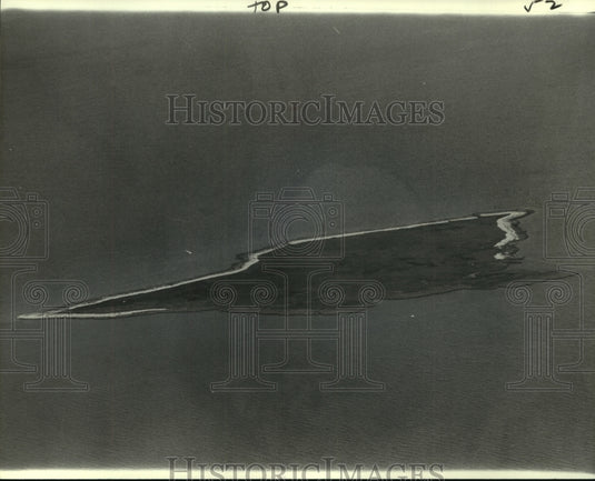 1978 Press Photo Aerial view of Grassy Island home for migratory birds in spring- Historic Images