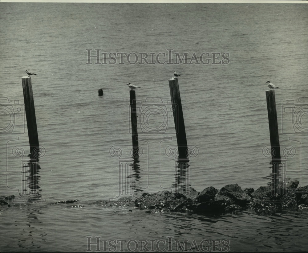 1974 Press Photo Serene scene from the breakwaters at Grand Isle, Louisiana- Historic Images