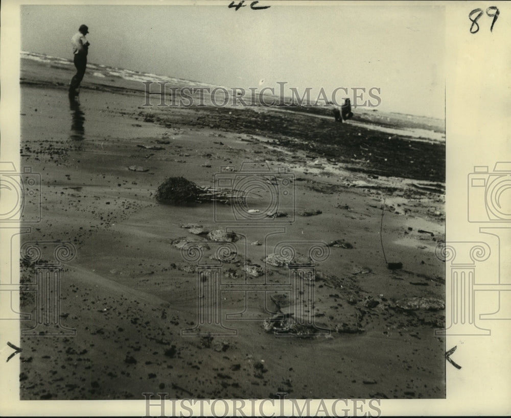 1970 Press Photo Oil globs like half-submerged turtles at the Grand Isle