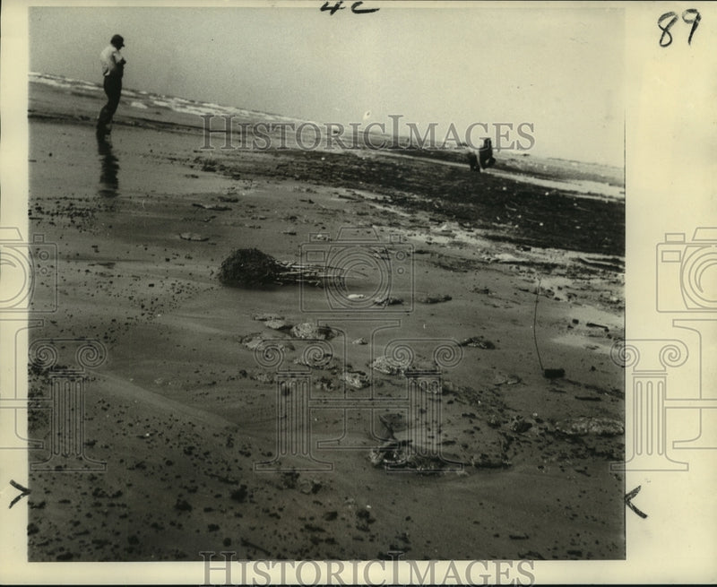 Load image into Gallery viewer, 1970 Press Photo Oil globs like half-submerged turtles at the Grand Isle

