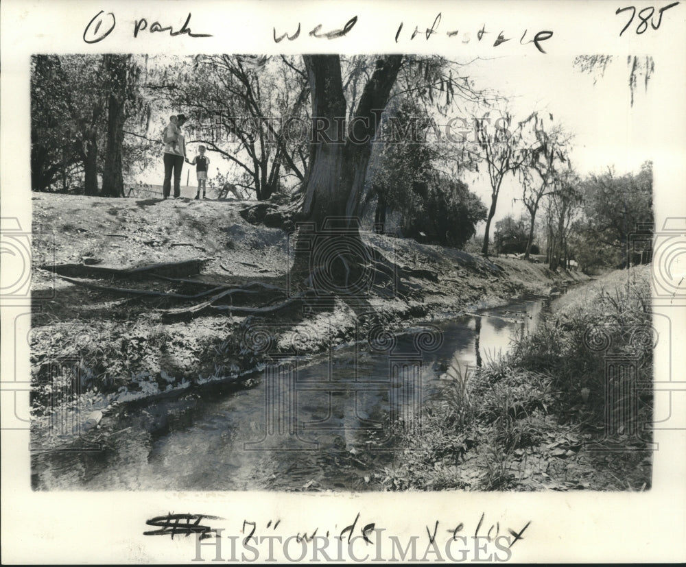 1974 Press Photo Ditch, skirting on one side of the Royland Park- Park Erosion - Historic Images