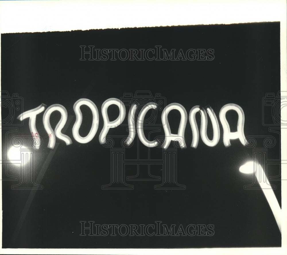 1978 Press Photo Tropicana Neon Sign - nob32576- Historic Images