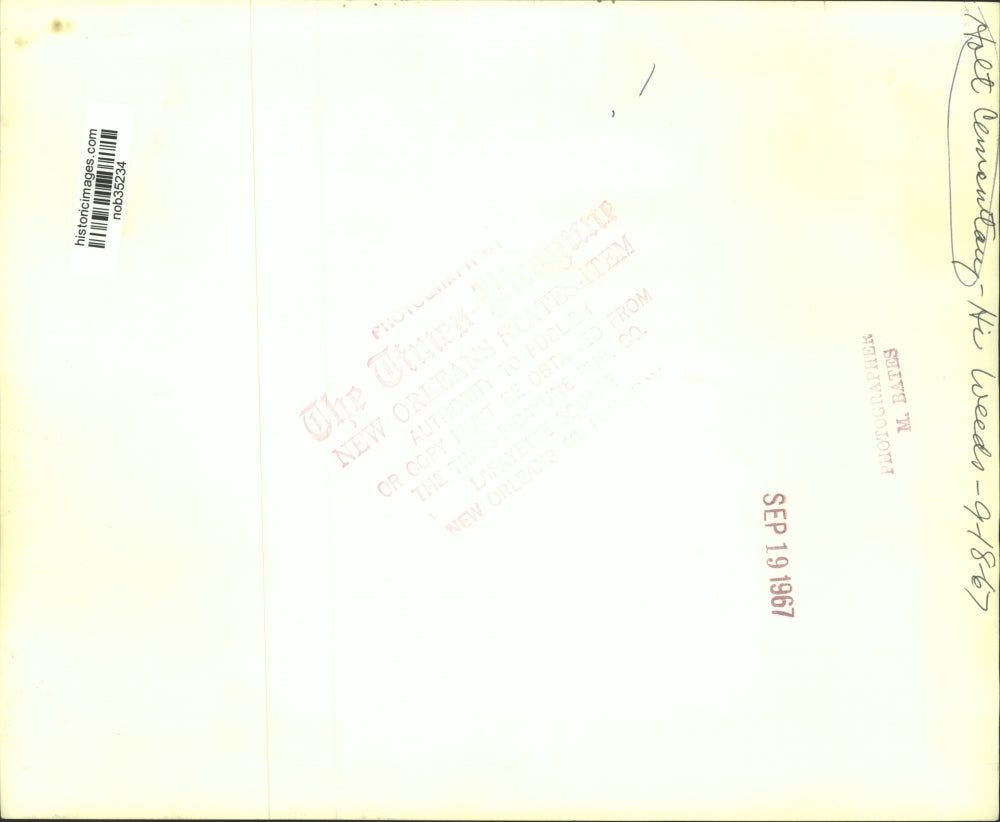 1967 Press Photo High weeds at Holt Cemetary - nob35234