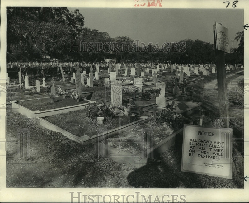 Load image into Gallery viewer, 1974 Press Photo Cemetery has received better care due to stricter policing
