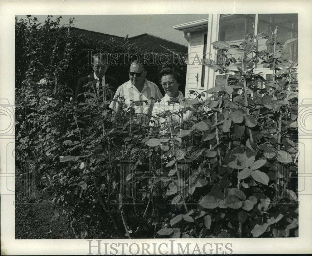 1968 Press Photo William Hook, Edmund and Mrs Wegener in their garden