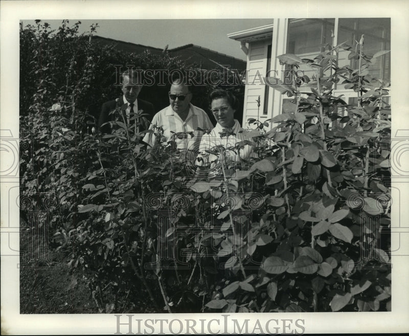 Load image into Gallery viewer, 1968 Press Photo William Hook, Edmund and Mrs Wegener in their garden

