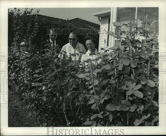 1968 Press Photo William Hook, Edmund and Mrs Wegener in their garden