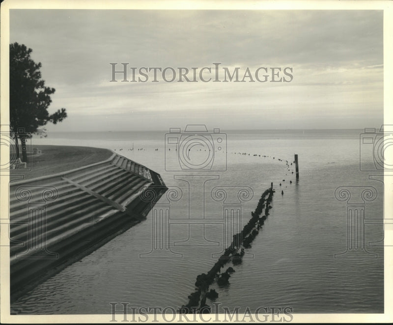 Load image into Gallery viewer, 1961 Press Photo Removal of row pilings in Lake Pontchartrain - nob36660
