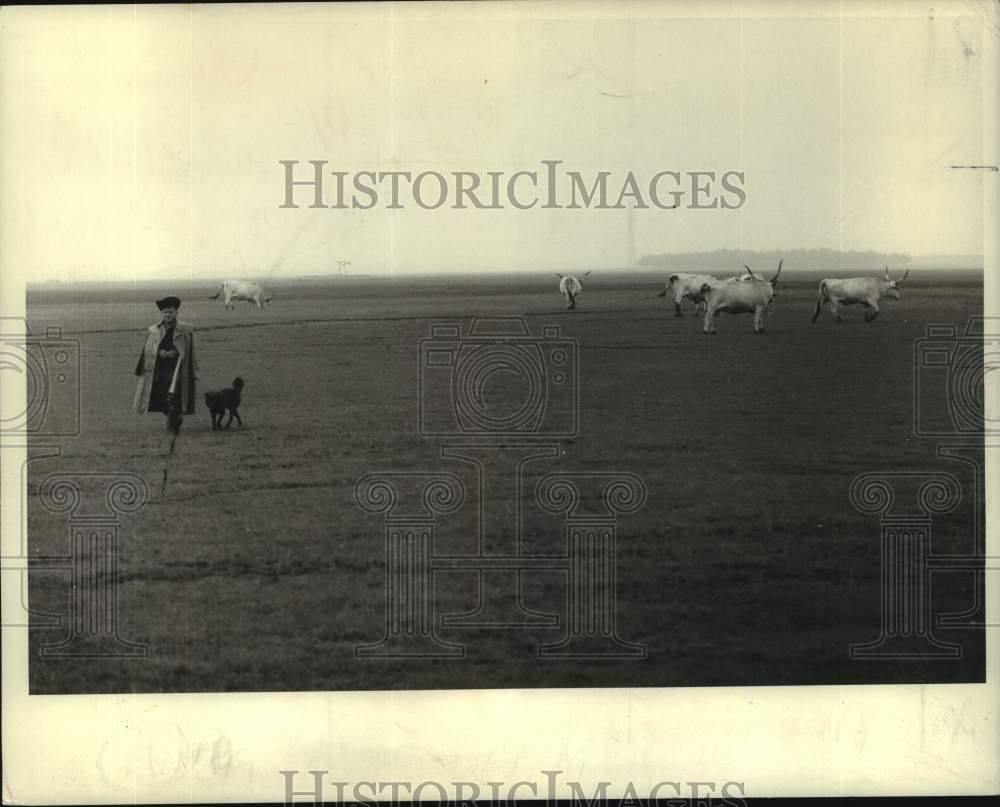 1969 Press Photo A csiko and his herding dog at Hungary&#39;s Puszta - nob44292