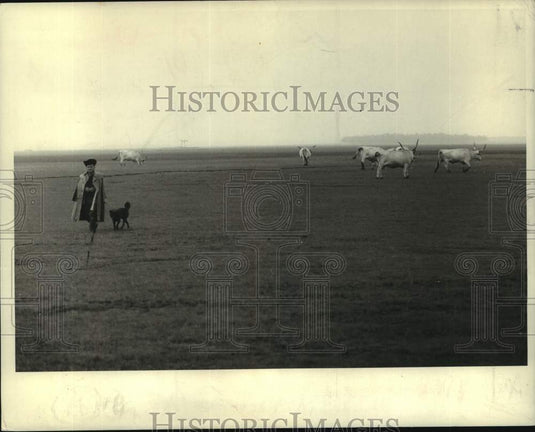 1969 Press Photo A csiko and his herding dog at Hungary's Puszta - nob44292
