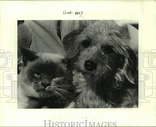 1984 Press Photo Ashley the cat and Daisy the dog are available at Metairie SPCA