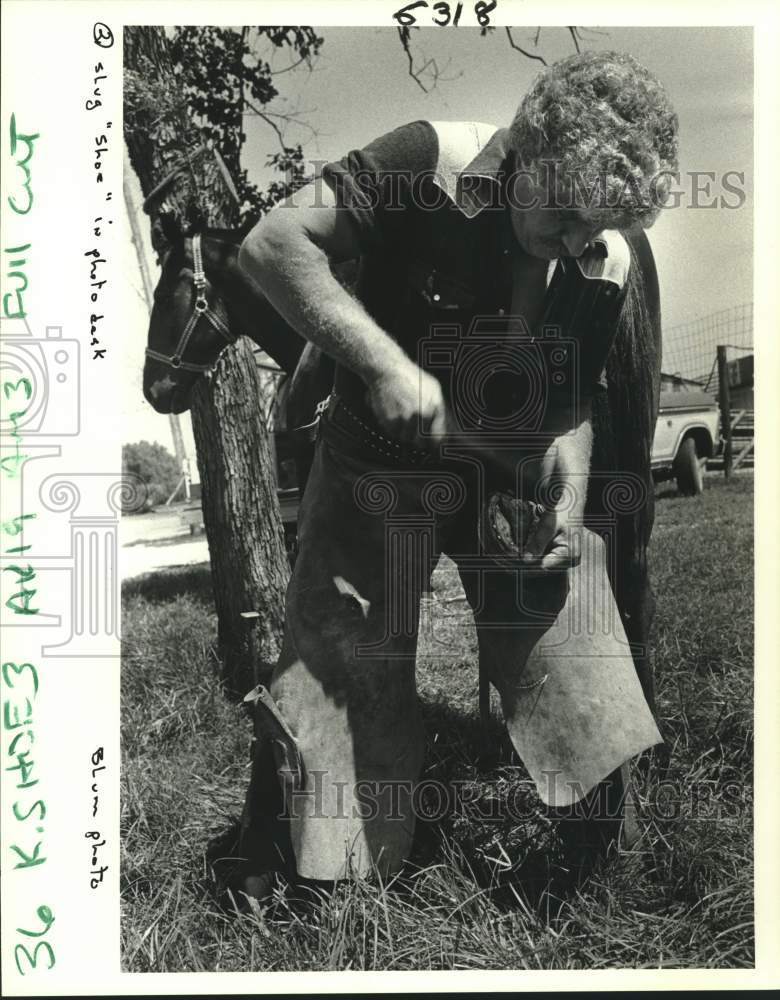 1984 Press Photo Farrier Vince Savarese hammers a nail into a horse&#39;s hoof- Historic Images