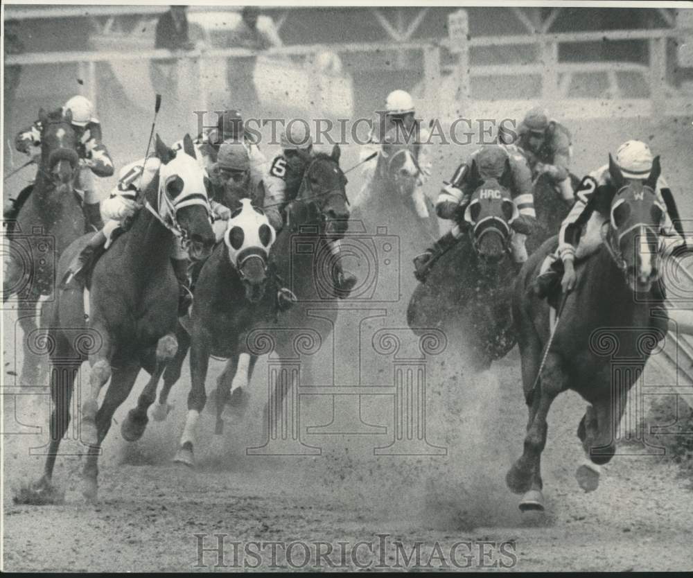 1972 Press Photo Race horses turning into home stretch - nob45956- Historic Images