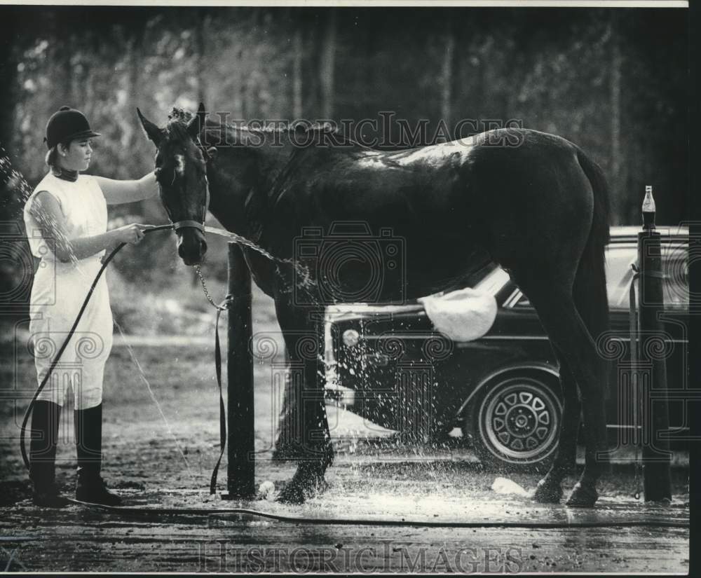 1974 Press Photo Louisiana Velvet Gets Hosed Down by Rider at Horse Show