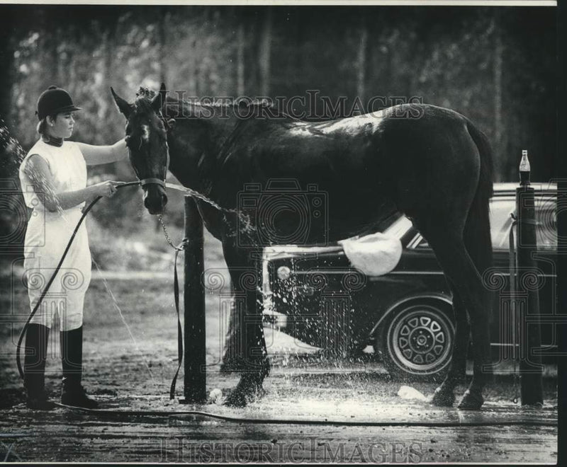 Load image into Gallery viewer, 1974 Press Photo Louisiana Velvet Gets Hosed Down by Rider at Horse Show
