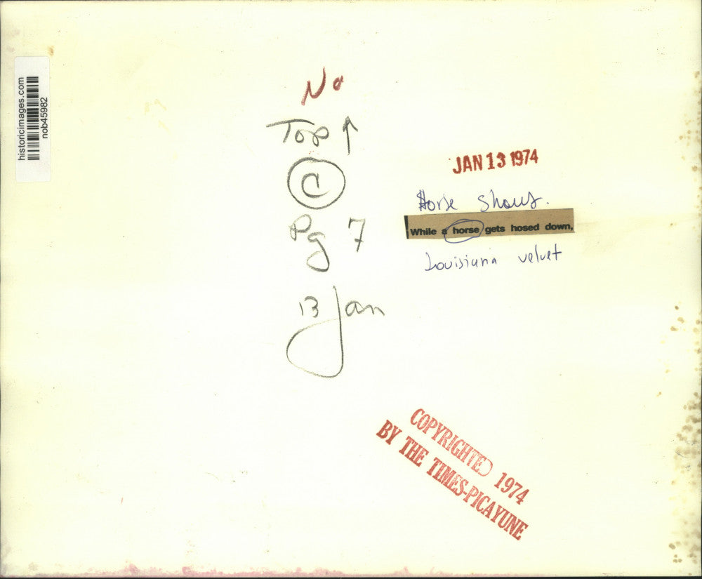 1974 Press Photo Louisiana Velvet Gets Hosed Down by Rider at Horse Show