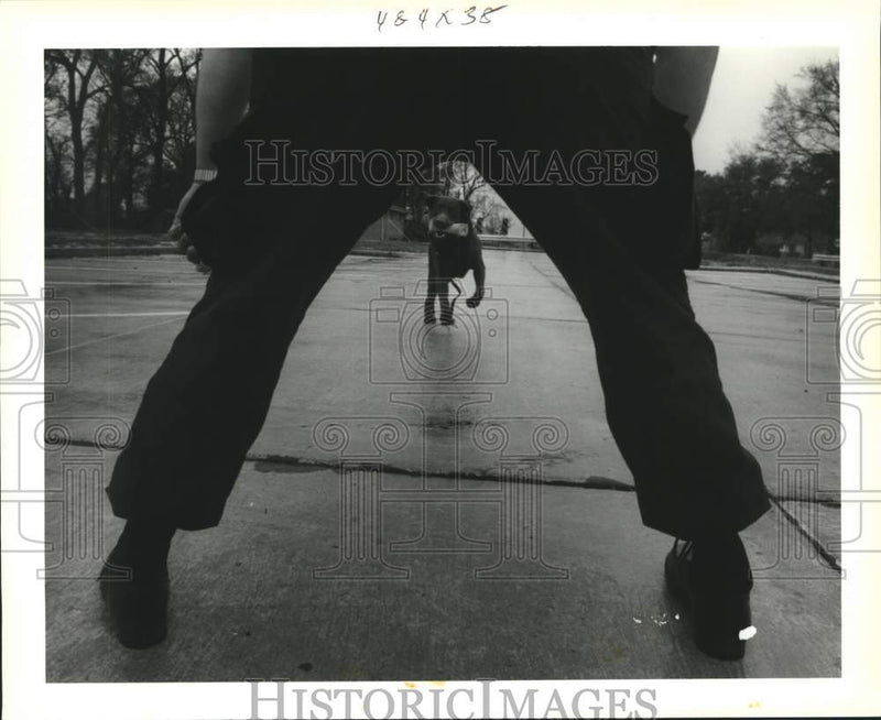 Load image into Gallery viewer, 1992 Press Photo Kenner police drug detection dog playing after training
