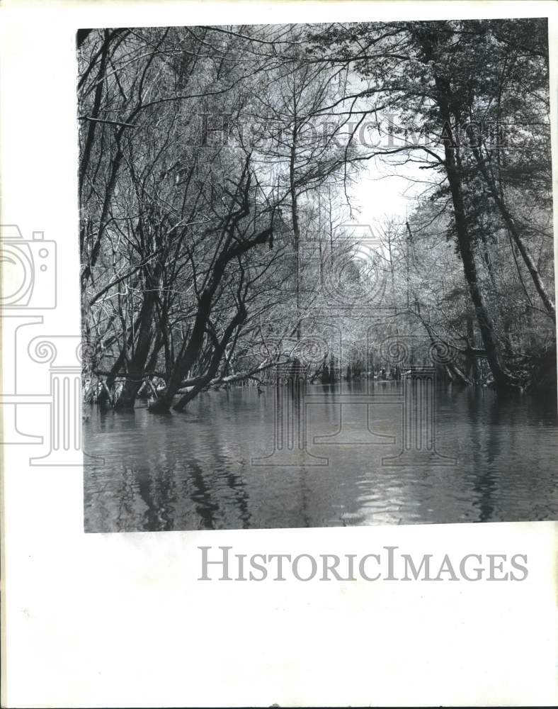 1973 Press Photo Saline Bayou, one of the areas in Kisatchie National Forest- Historic Images