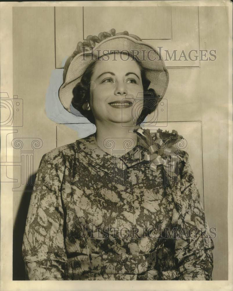 Load image into Gallery viewer, 1959 Press Photo Mrs. Charles E. Hill, president of Lake Terrace Woman's Club
