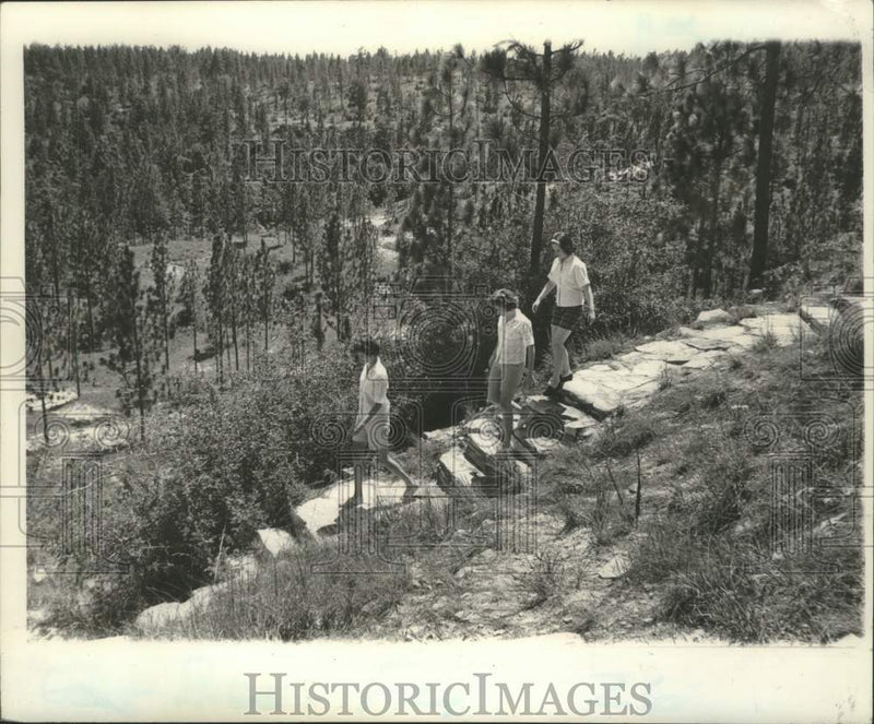 Load image into Gallery viewer, 1962 Press Photo Hikers on Longleaf Trail Vista in Kisatchie National Forest
