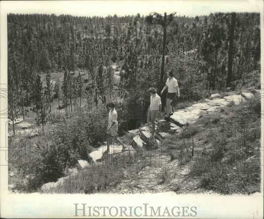 1962 Press Photo Hikers on Longleaf Trail Vista in Kisatchie National Forest