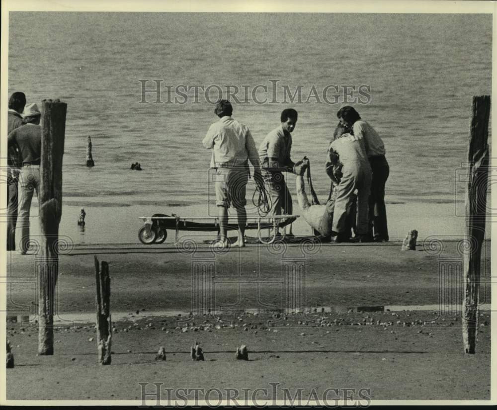 1978 Press Photo Recovering body after a small plane crash in Lake Pontchartrain- Historic Images