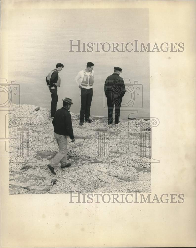 Load image into Gallery viewer, 1960 Press Photo Inspecting damage section of Lake Pontchartrain Causeway
