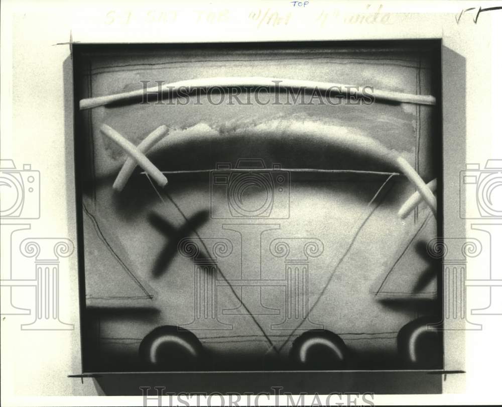 1976 Press Photo "Allegany X" by Richard Johnson - nob54430