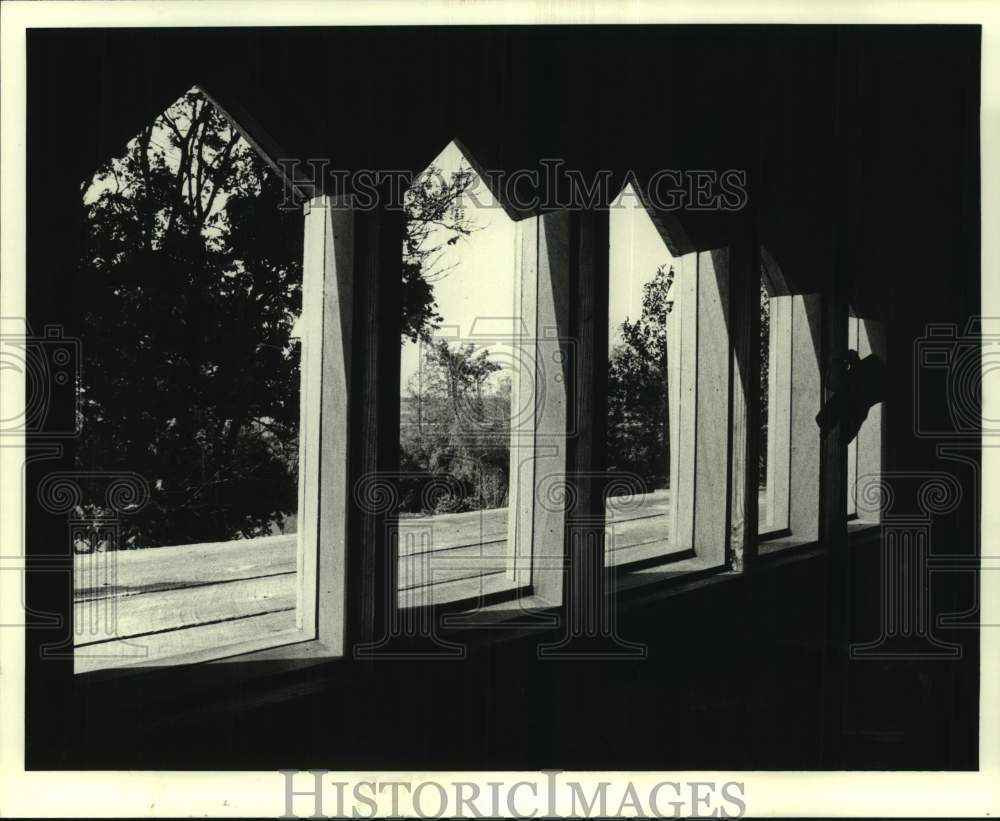 1980 Press Photo New Orleans Realty-A glimpse of the bayou from kitchen windows