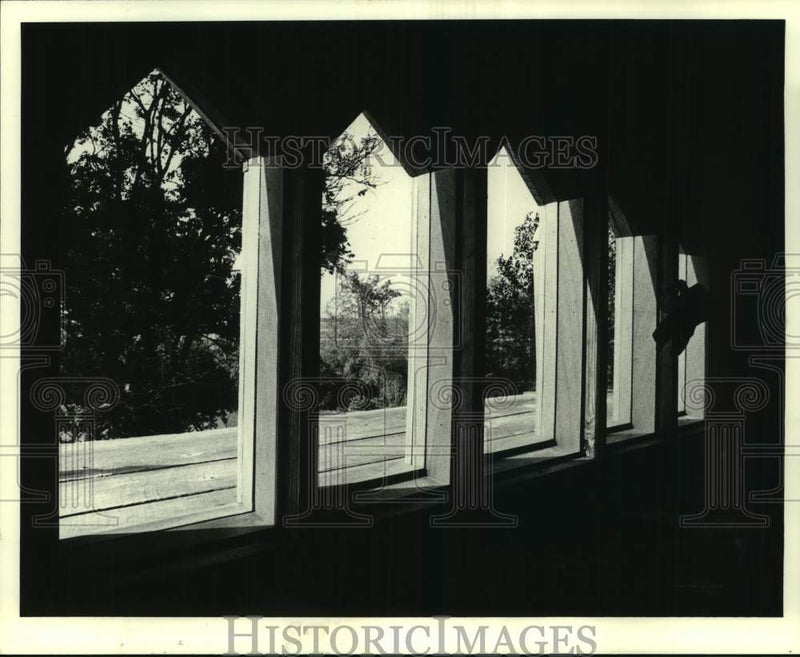 Load image into Gallery viewer, 1980 Press Photo New Orleans Realty-A glimpse of the bayou from kitchen windows
