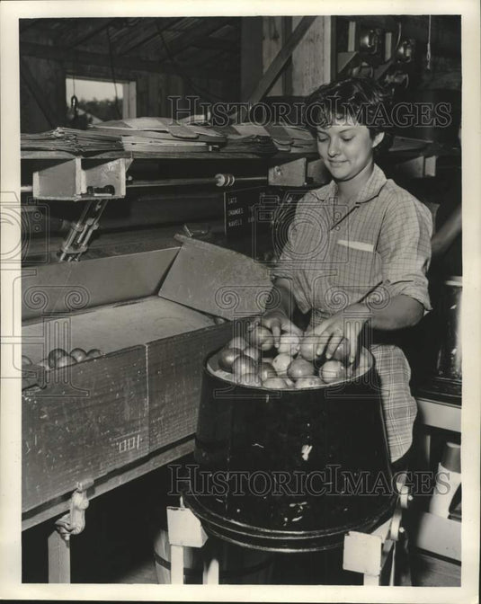 1961 Press Photo A woman handles oranges - nob59473