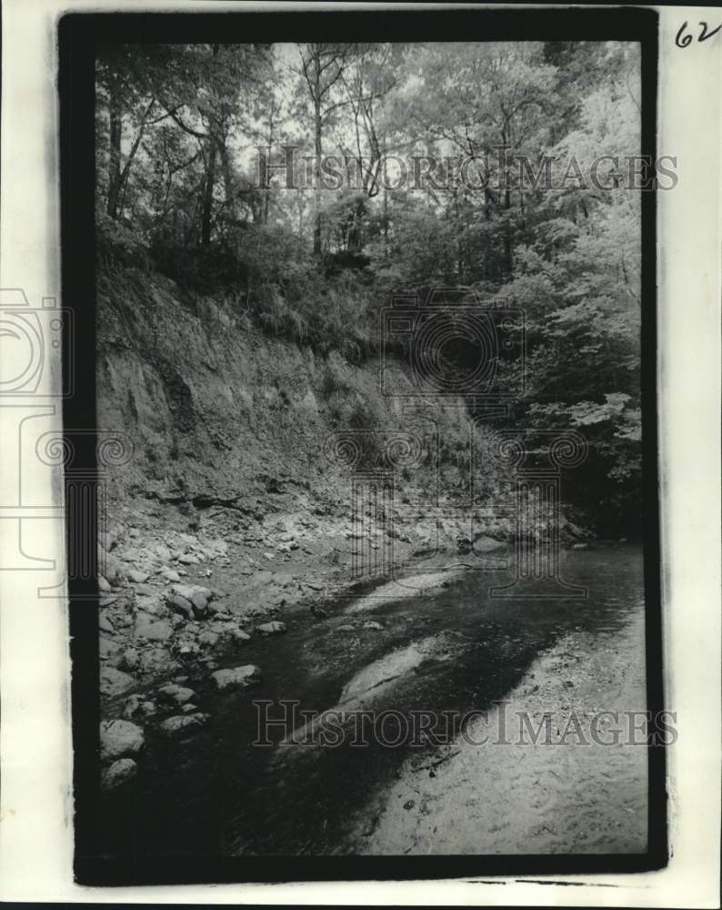 1978 Press Photo Foster Creek at the Port Hudson battlefield- Historic Images