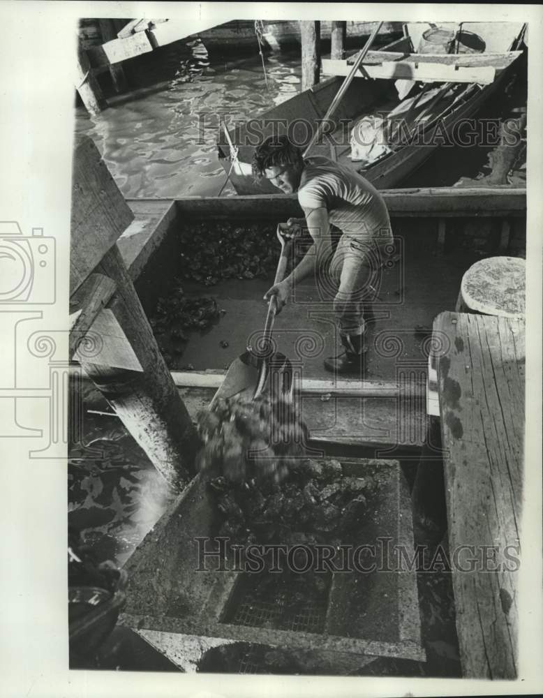 1963 Press Photo John Pellegrin, oysterman working out on Cameron - nob59628