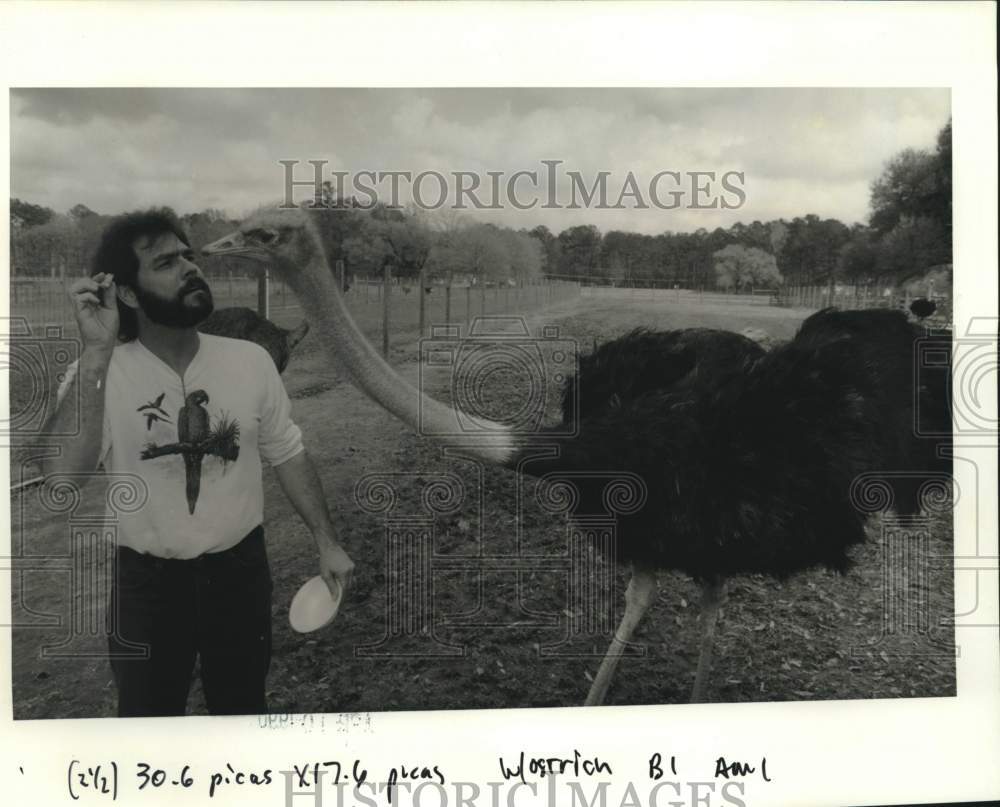 1990 Press Photo John Wade feeds the ostrich with apple at an ostrich farm- Historic Images