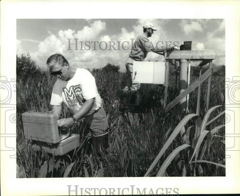 Load image into Gallery viewer, 1994 Press Photo Biologists Russell Walters &amp; Tom Hargis at Jean Lafitte Park
