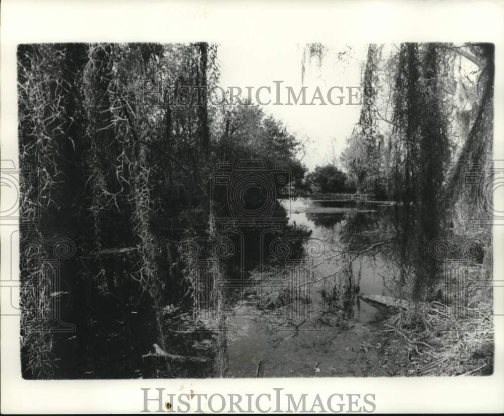 1977 Press Photo Lafitte Park, Marshy Waterway Canal - nob64146