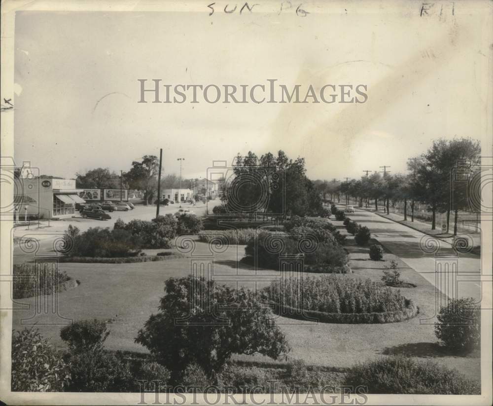 1950 Press Photo Most beautiful neutral grounds in Canal Boulevard in Lakeview