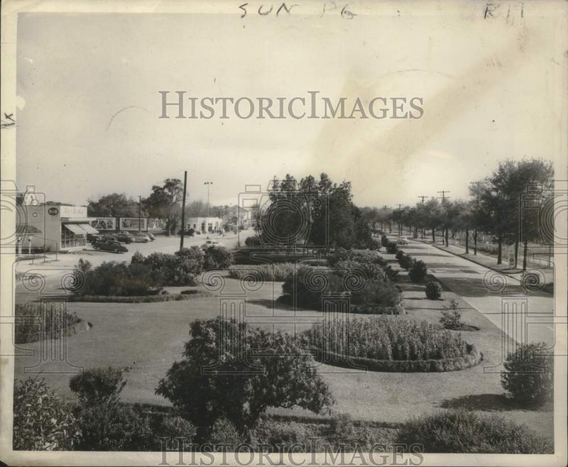 Load image into Gallery viewer, 1950 Press Photo Most beautiful neutral grounds in Canal Boulevard in Lakeview
