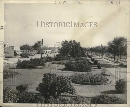 1950 Press Photo Most beautiful neutral grounds in Canal Boulevard in Lakeview