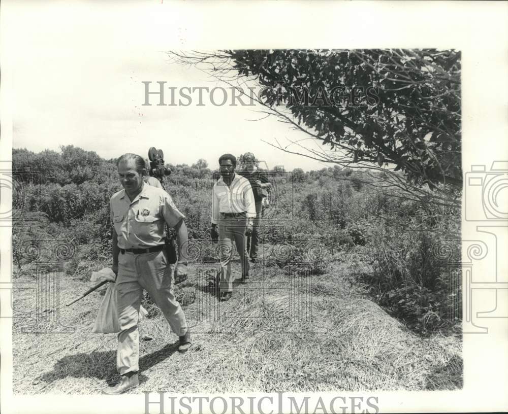 1974 Press Photo Marijuana- Historic Images