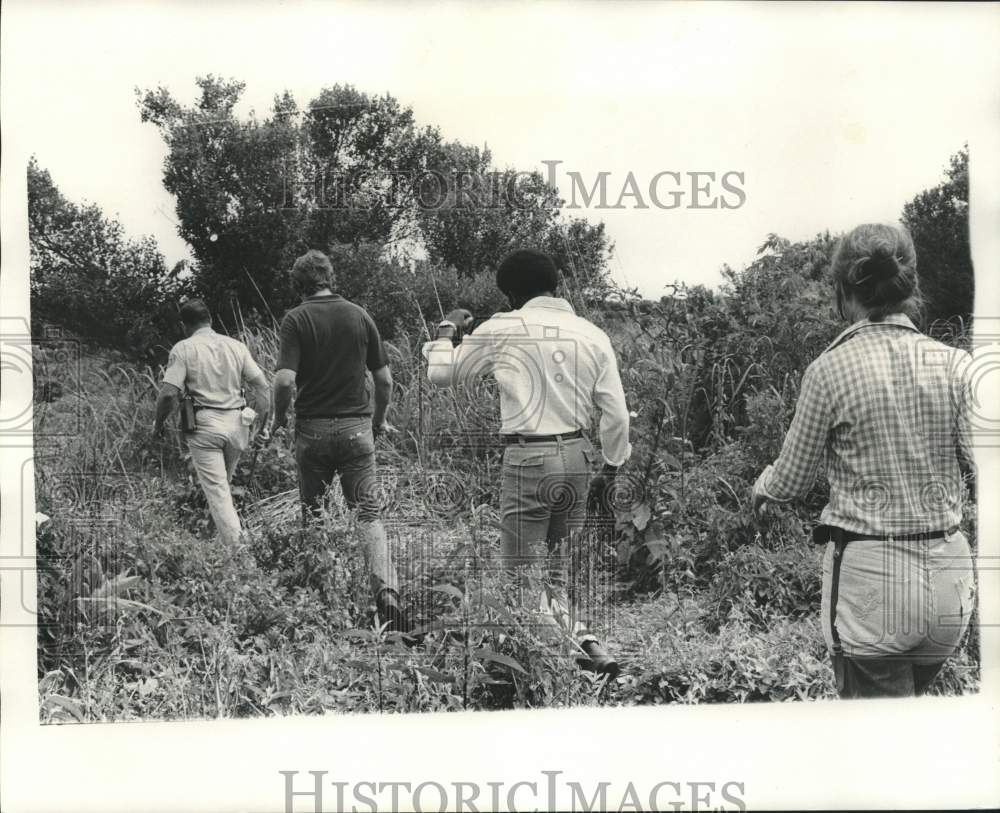 1974 Press Photo Marijuana-Officials beat through brush to find hidden growers- Historic Images