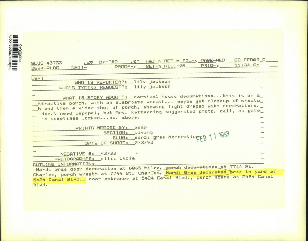 1993 Press Photo Mardi Gras decorated tree at 5424 Canal Boulevard. - nob69045