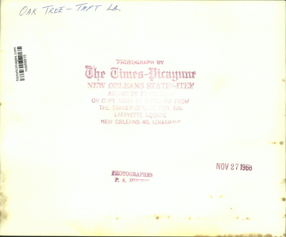 1968 Press Photo Oak Tree, Taft Louisiana - nob69915