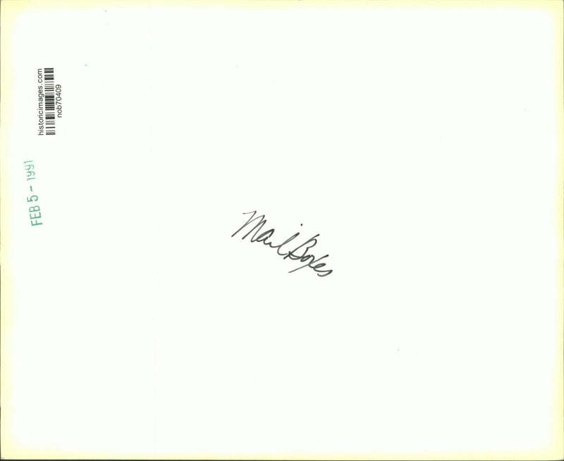 Load image into Gallery viewer, 1991 Press Photo Mail Boxes-Giant chain post box base holding a residential box
