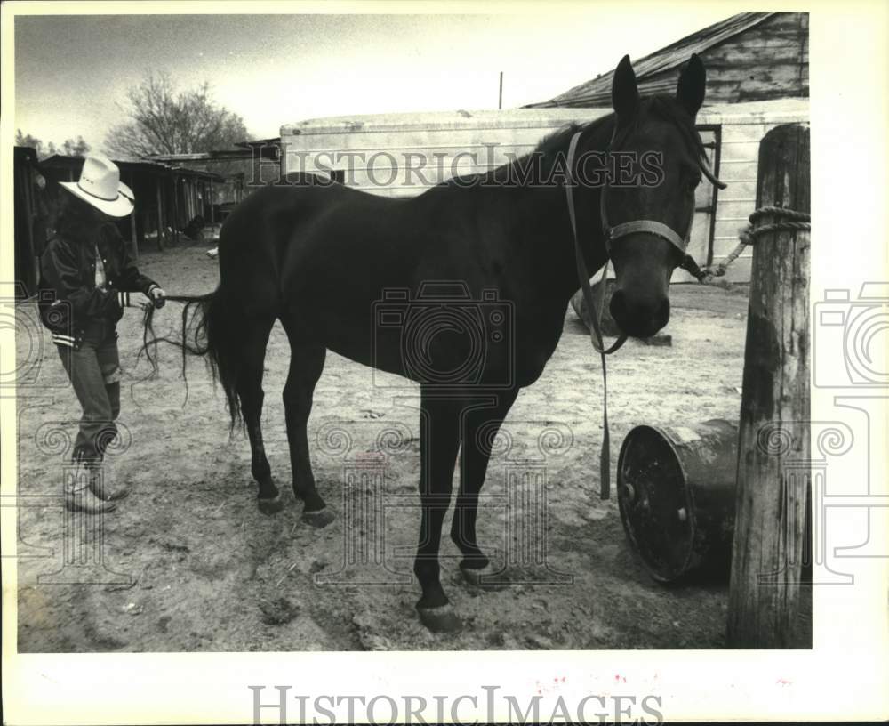 1984 Press Photo Goldie Mauldin, Miss Rodeo Louisiana &amp; her horse Go-Show-Golly- Historic Images